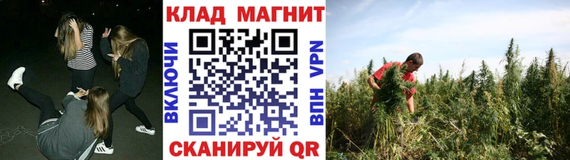 Виды наркоты Зубцов МДМА  Псилоцибиновые грибы  Меф мяу мяу  Лсд 25  A PVP  Марихуана  COCAIN 