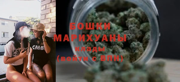ALPHA PVP Новозыбков