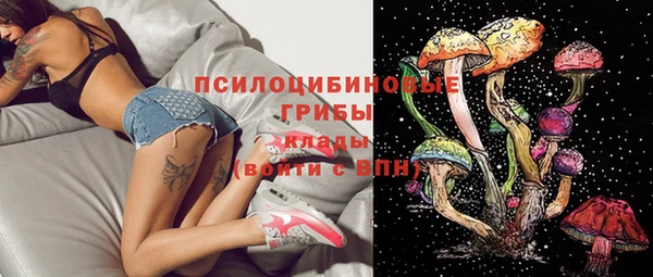 mdma Новодвинск