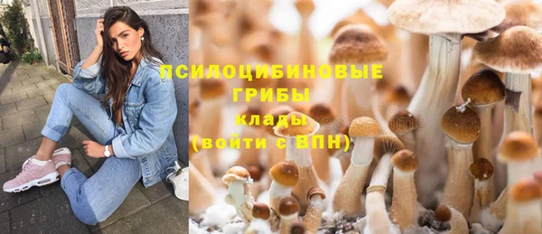 соль ск Новокубанск