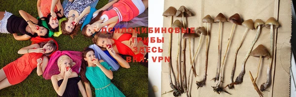 соль ск Новокубанск