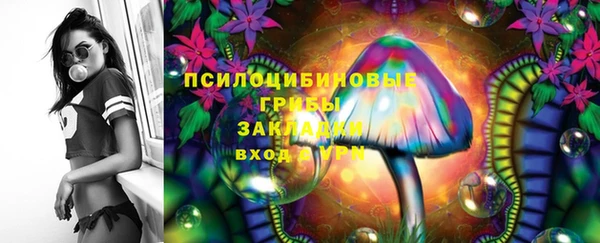 соль ск Новокубанск